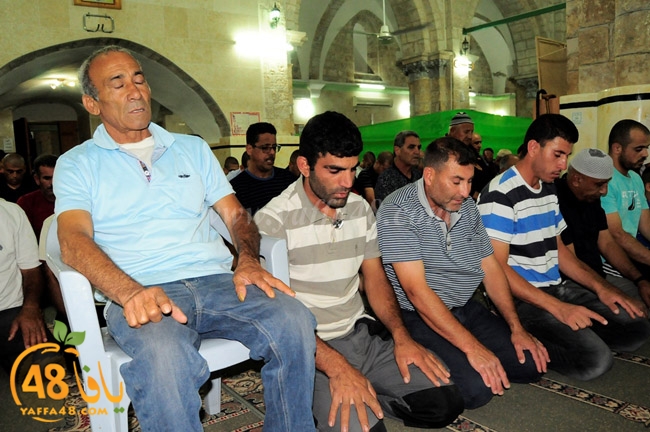 trawe7 ramla kaber (24).JPG